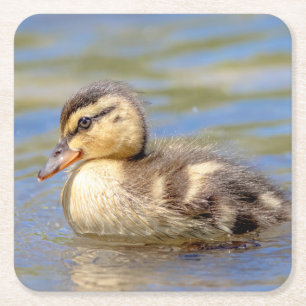 GräsandDuckling Underlägg Papper Kvadrat