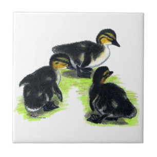 GräsandDucklings Kakelplatta