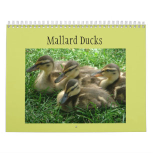 GräsandDucklings Kalender