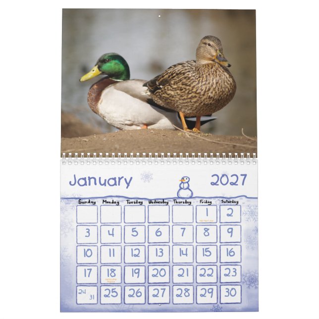 Gräsandet duckar naturkalendern kalender (Jan 2027)