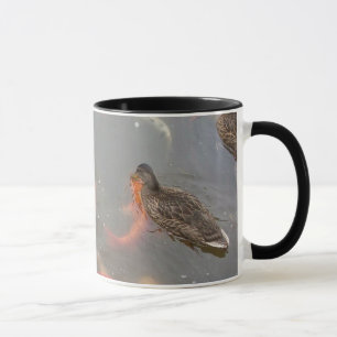 Gräsandet duckar och Koi fisksimning Mugg