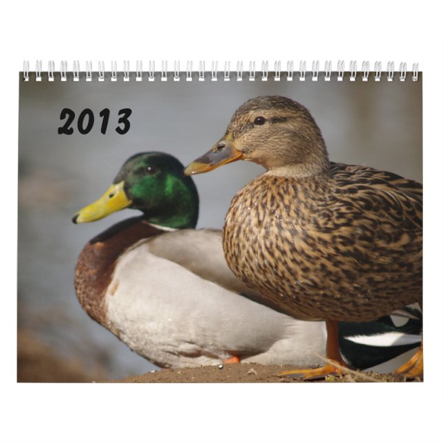 Gräsandet duckar Sportsmenkalendern 2014 Kalender (Omslag)