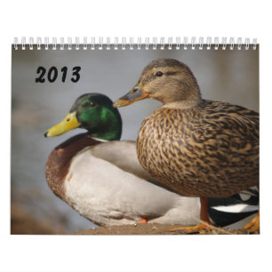 Gräsandet duckar Sportsmenkalendern 2014 Kalender