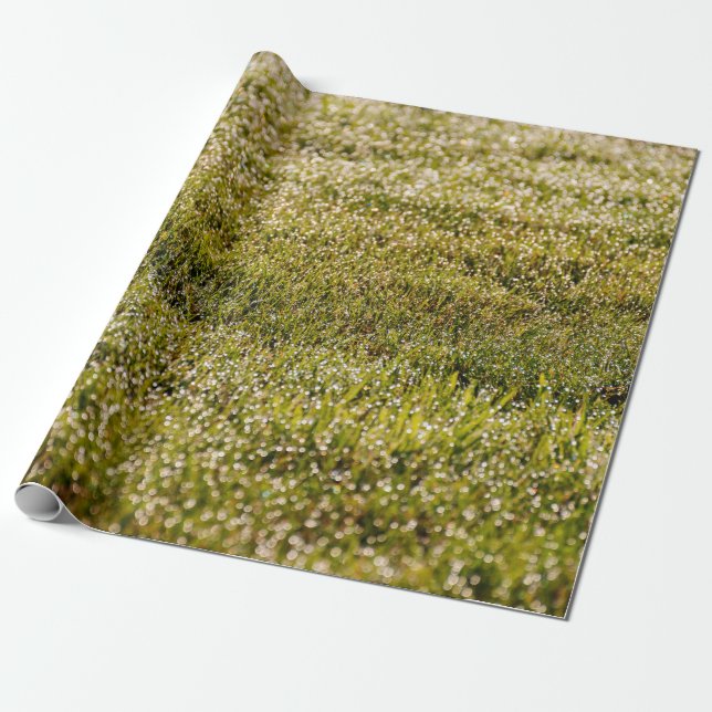 Gräsbakgrund, färsk vår-grönt, med bokech presentpapper (Utrullad)