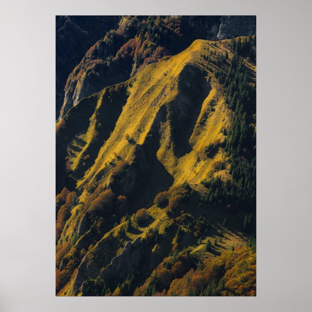 Gräsbevuxen höstberg poster (Framsidan)