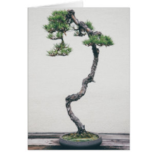 GräsBonsai Hälsningskort