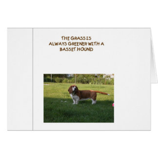 GRÄSET ÄR MER GRÖN MED EN BASSETHUND OBS KORT