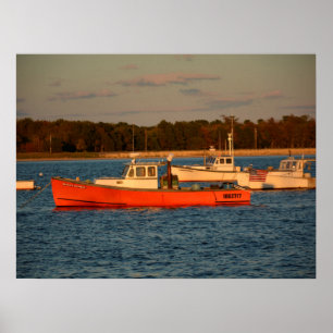 Gräset pekar Maine 24" x 18", affischen Poster