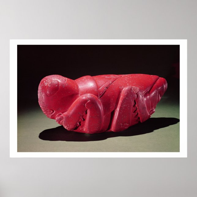 Gräsgräs från Chapultepec, Mexiko, 1500 (carn) Poster (Framsidan)