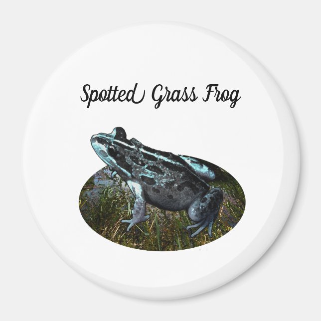 Gräsgrodd, magnet (Framsidan)