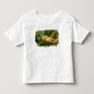 Gräshoppa, Everglades National Park, Florida, T-shirt
