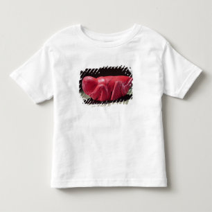 Gräshoppa från Chapultepec, Mexico, c.1500 (carn Tee Shirt