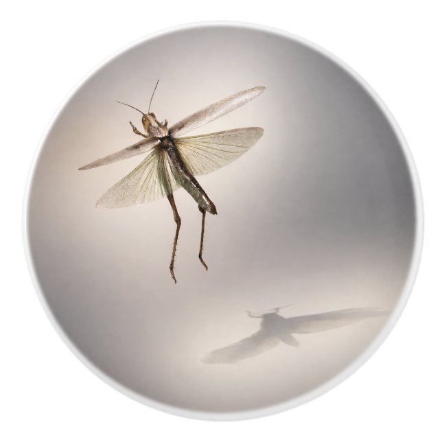 Gräshoppa i rörelse  knopp (Framsidan)
