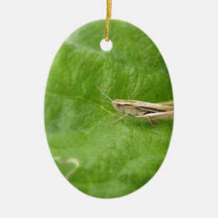 Gräshoppa Julgransprydnad Keramik