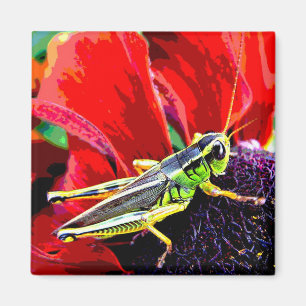 Gräshoppa Magnet