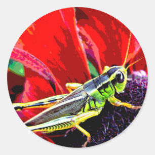 Gräshoppa Runt Klistermärke