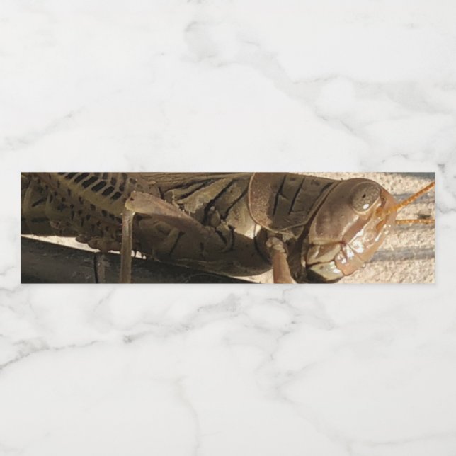 Gräshoppa  vattenflaskor etikett (Singel etikett)