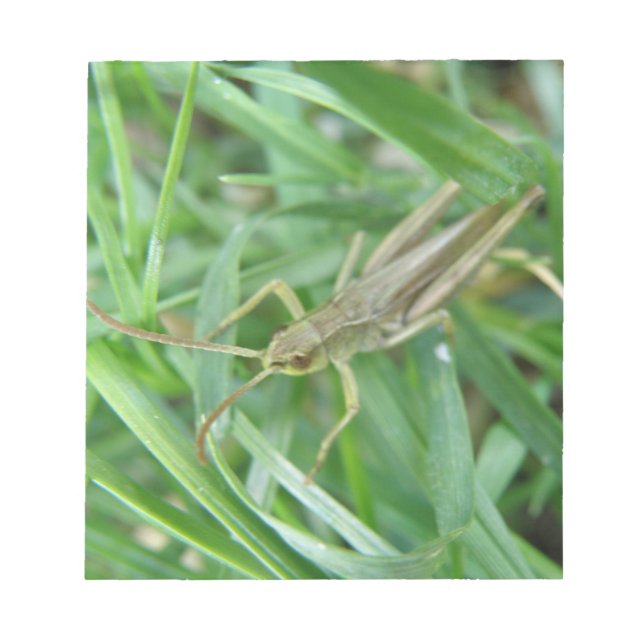 Grashopper Anteckningsblock (Framsida)