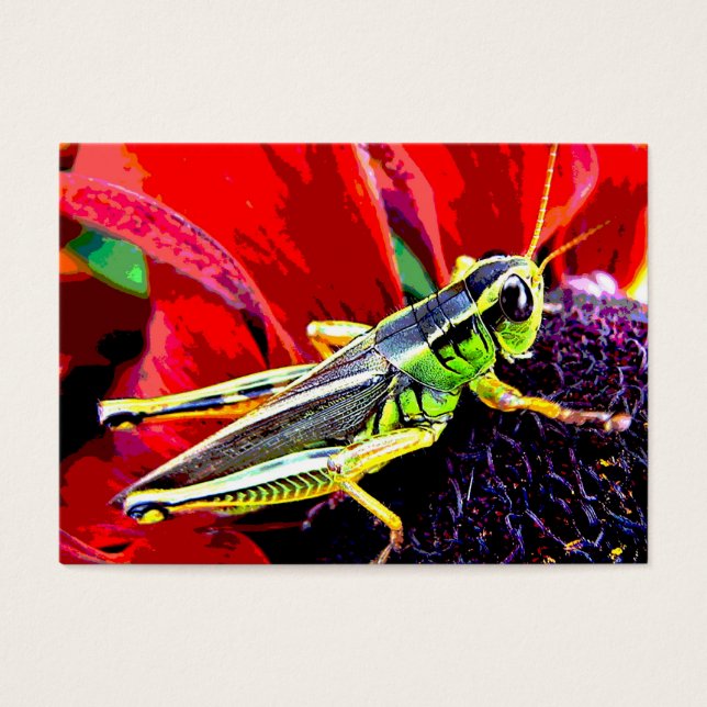 Grashopper ATC Visitkort (Framsidan)