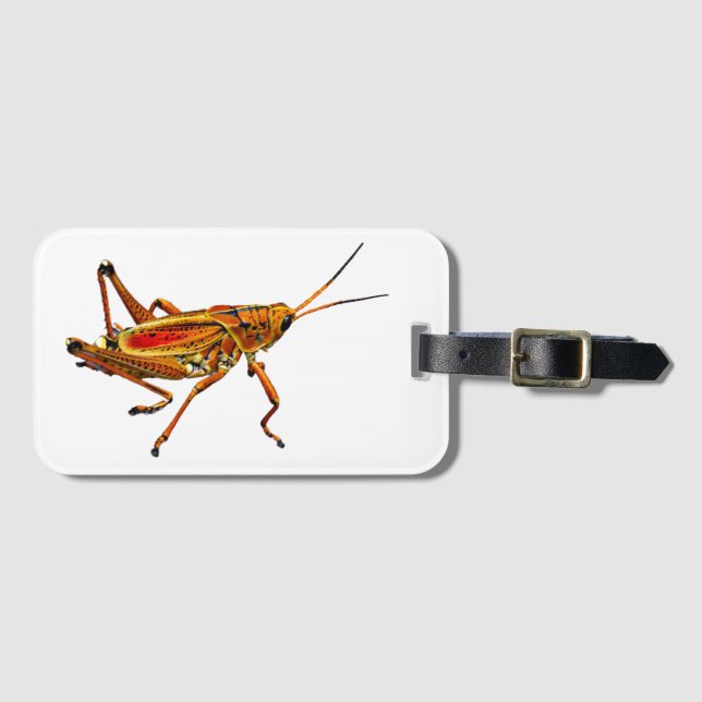 Grashopper Bagagebricka (Framsida horisontal)