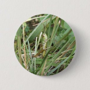 Grashopper Camouflage Button Knapp