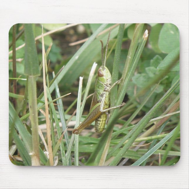 Grashopper Camouflage Mousepad Musmatta (Framsidan)