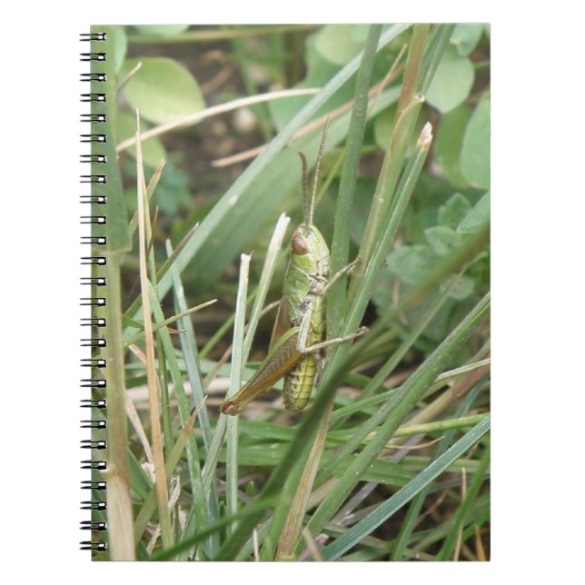 Grashopper Camouflage Notebook Anteckningsbok Med Spiral (Framsidan)