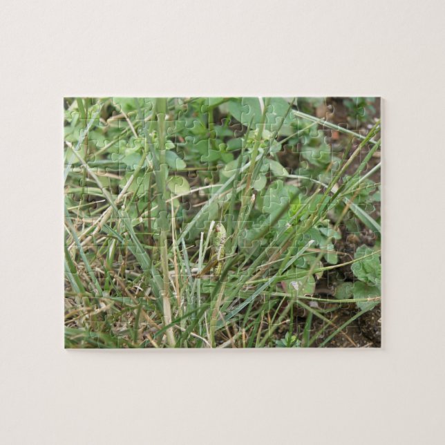 Grashopper Camouflage Puzzle Pussel (Horisontell)