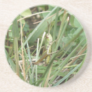Grashopper Camouflage Underläggs Underlägg Sandsten