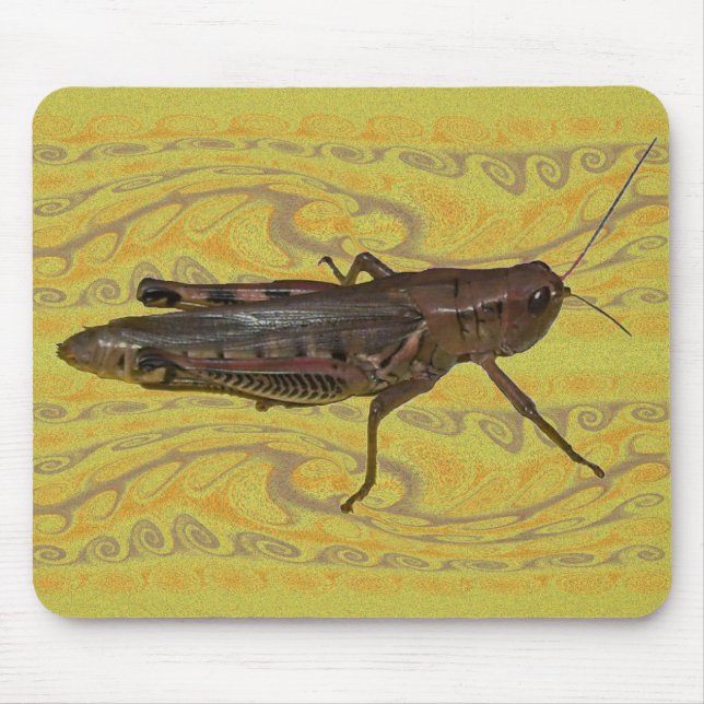 Grashopper Design Musmatta (Framsidan)