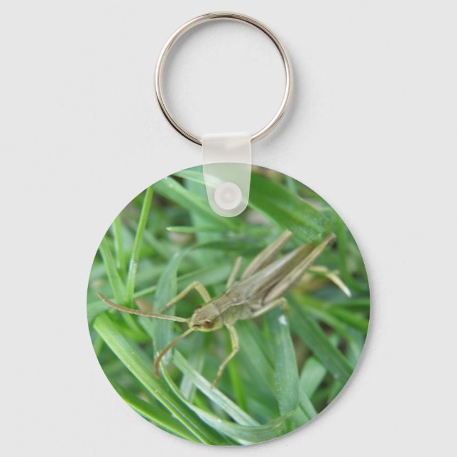 Grashopper Keychain Nyckelring (Framsida)