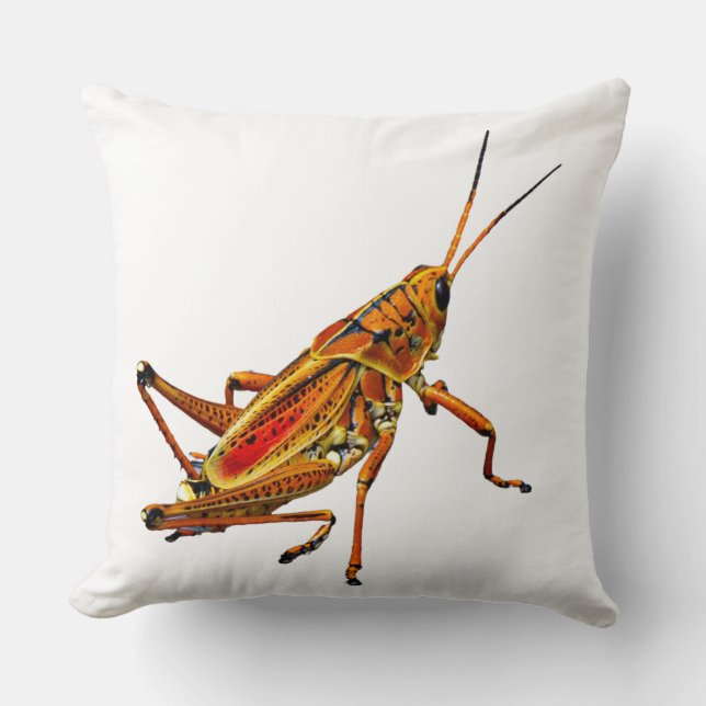 Grashopper Kudde (Framsida)