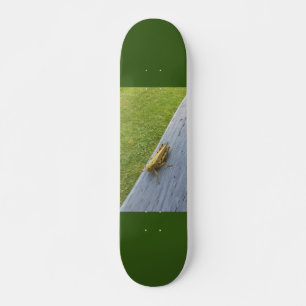 Grashopper Mini Skateboard Bräda 18,5 Cm
