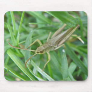 Grashopper Mousepad Musmatta