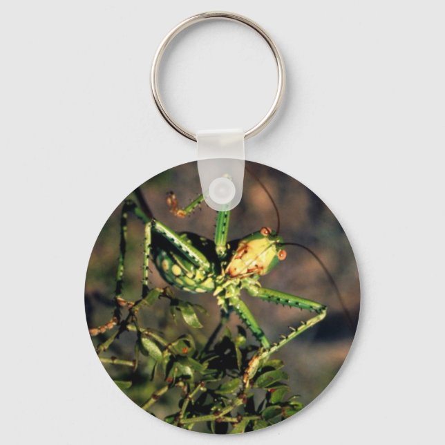 Grashopper Nyckelring (Framsida)