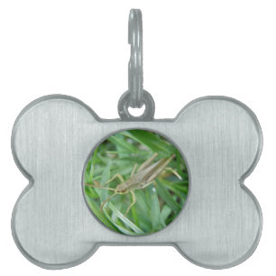 Grashopper Pet Tag Namnbricka Husdjur
