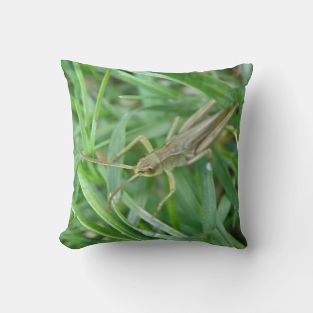 Grashopper Pillow Kudde (Framsida)
