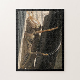 Grashopper Pussel