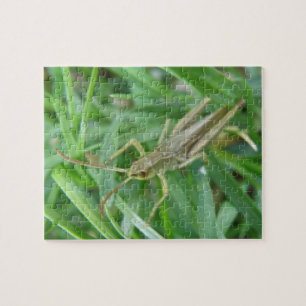 Grashopper Puzzle Pussel