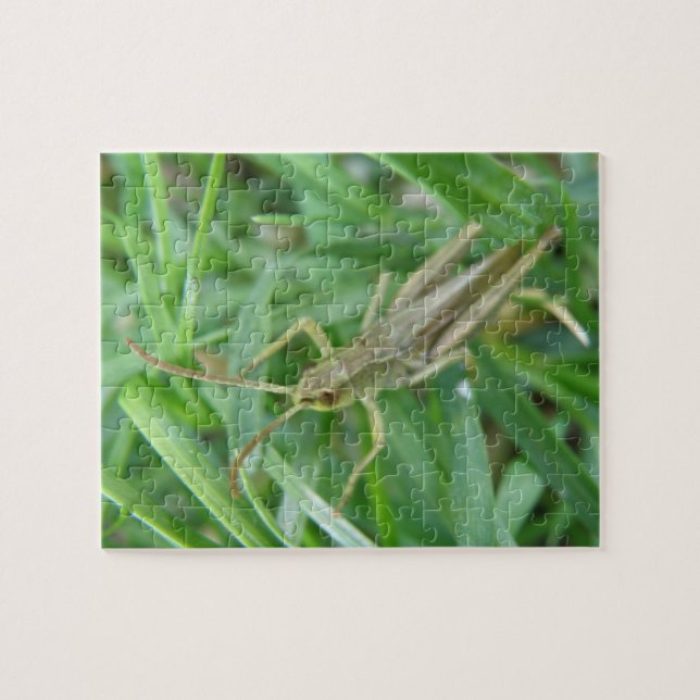 Grashopper Puzzle Pussel (Horisontell)