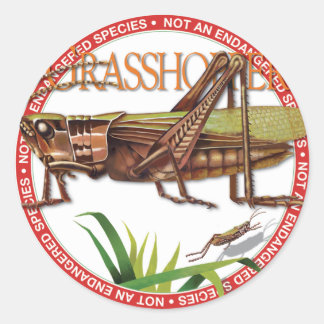 Grashopper Sticker Runt Klistermärke