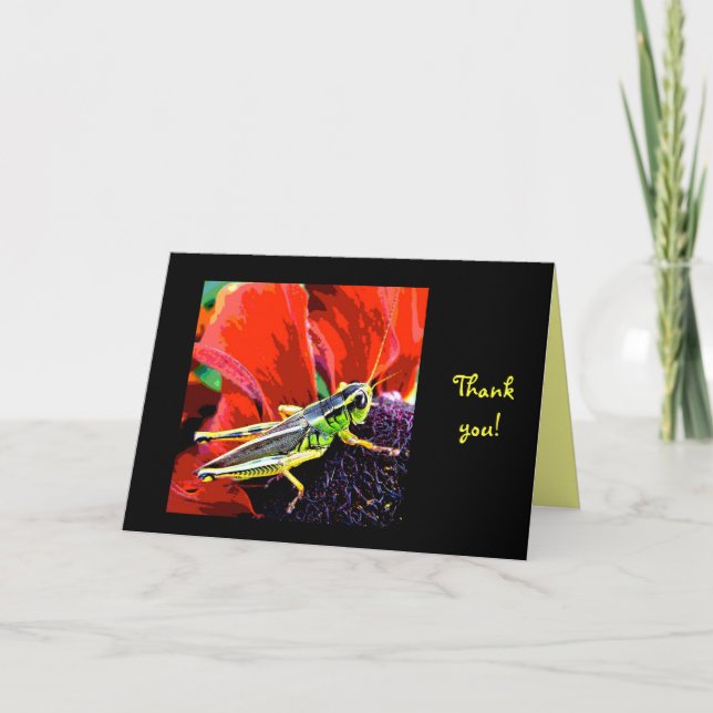 Grashopper Tack (Framsida)