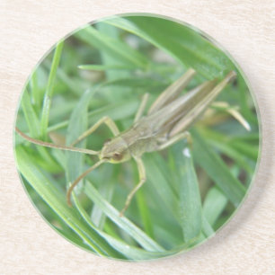 Grashopper Underläggs Underlägg