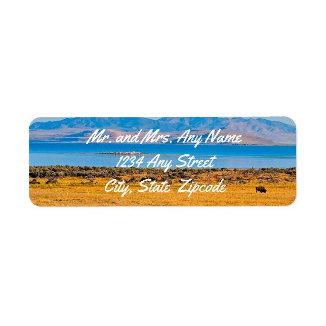 Grasing Buffalo, Underbar Salt Sjö, Utah Returadress Etikett (Framsidan)