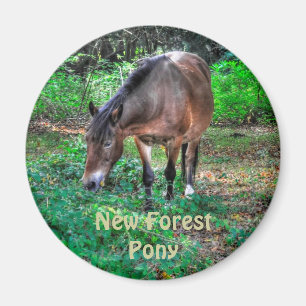 Grasing New Forest Pony Wildlife Magnet