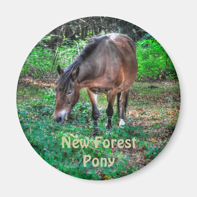 Grasing New Forest Pony Wildlife Magnet (Framsidan)