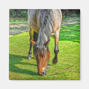 Grasing New Forest Pony Wildlife Magnet