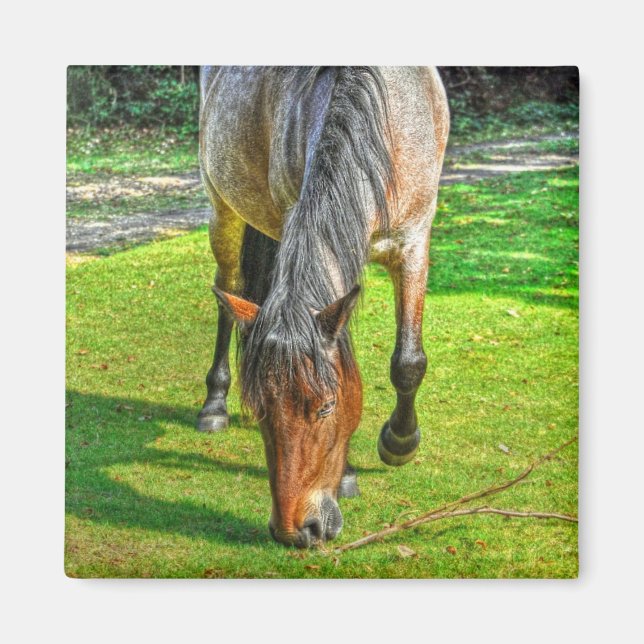 Grasing New Forest Pony Wildlife Magnet (Framsidan)