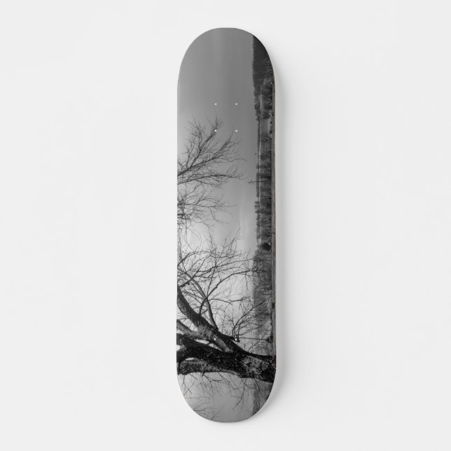 Gråskala för Winter Träd Old School Skateboard Bräda 18 Cm (Framsida)