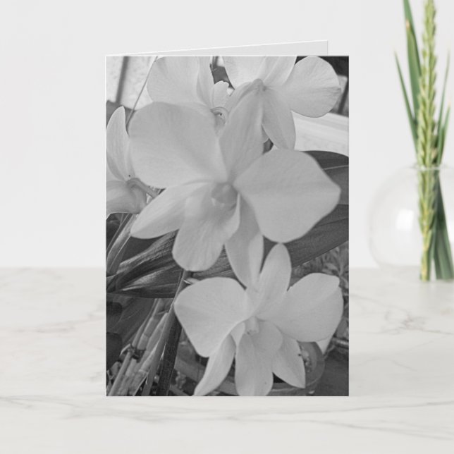 GråskaleOrchids på ett Sympathy Card Anteckningskort (Framsida)